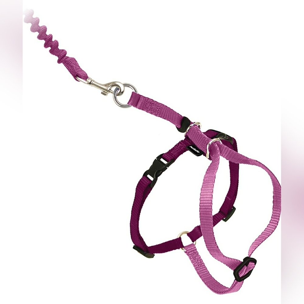 🐾💗Pink Cat & Small Dog Harness&Leash • Pet Safe "Come With Me Kitty" •